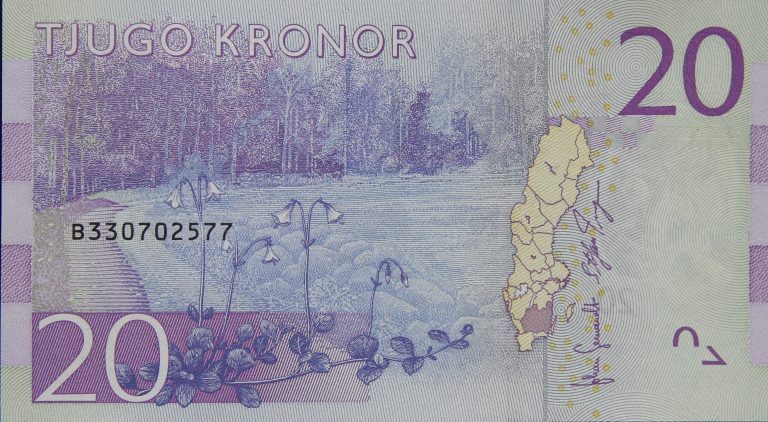 Back Image