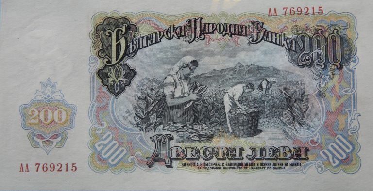 Back Image