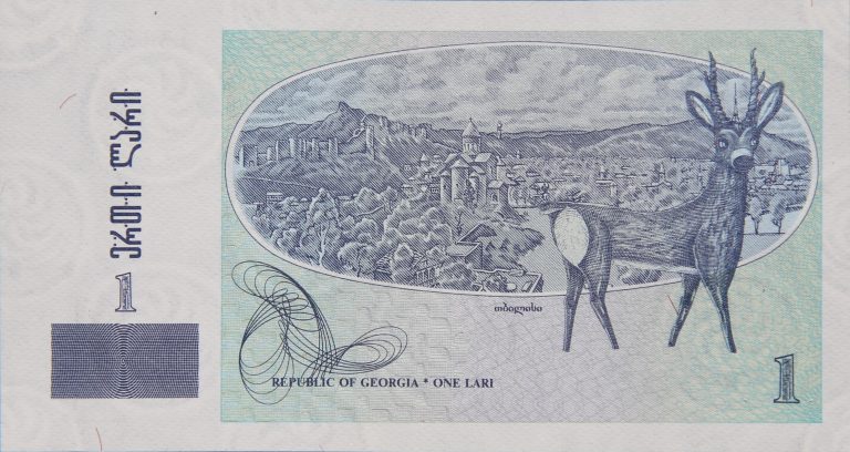 Back Image