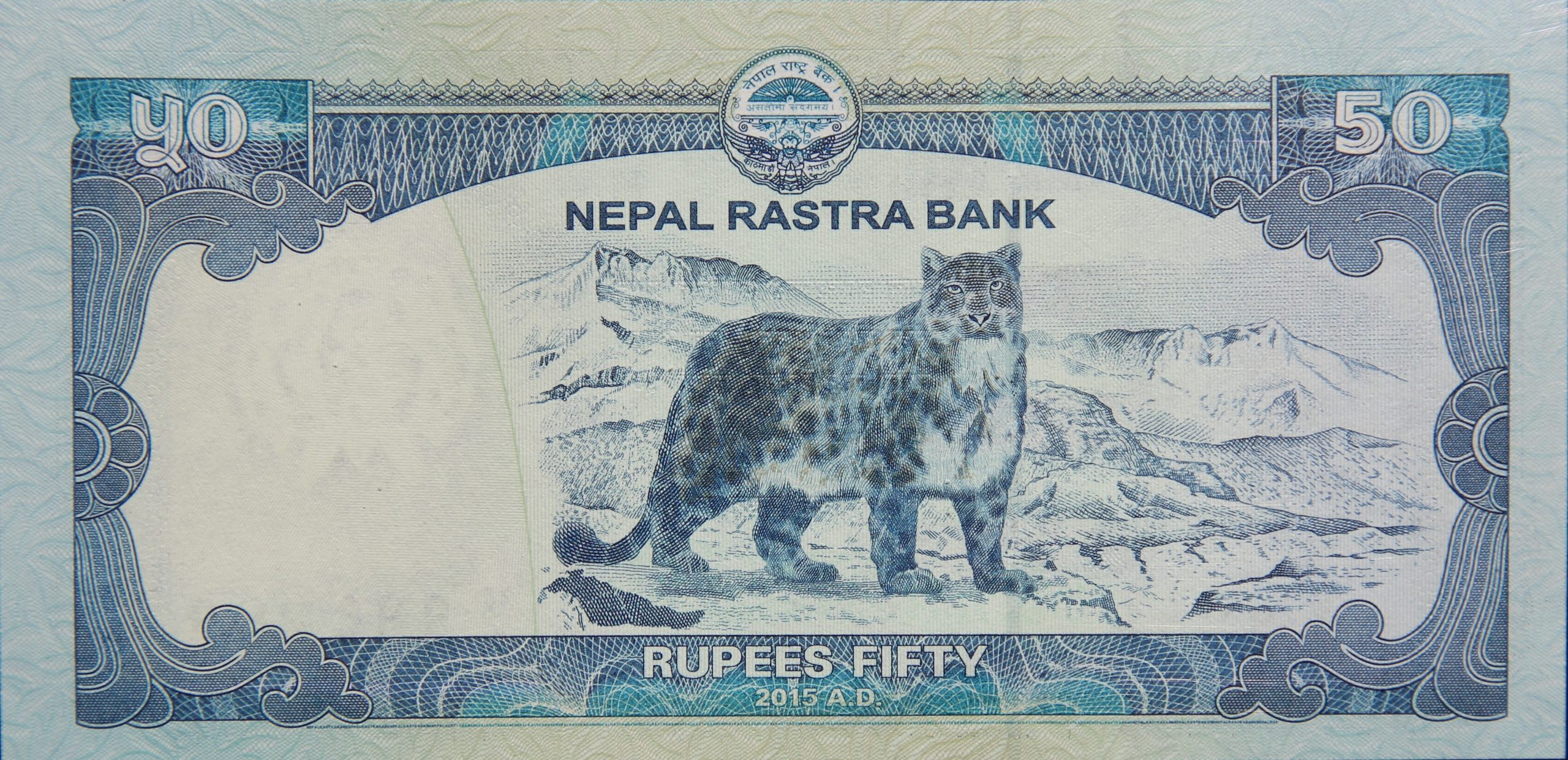 Back Image