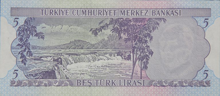Back Image