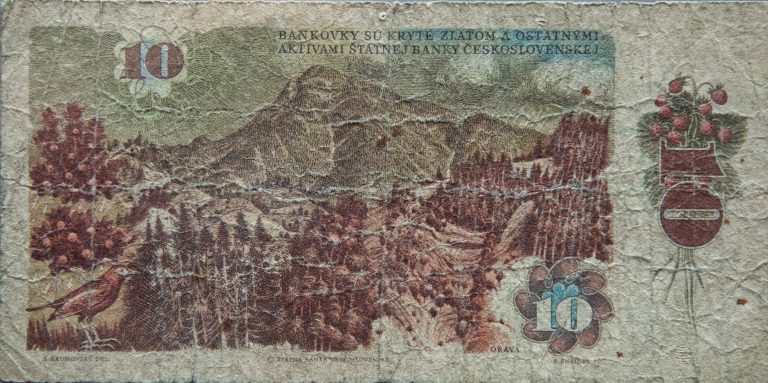 Back Image